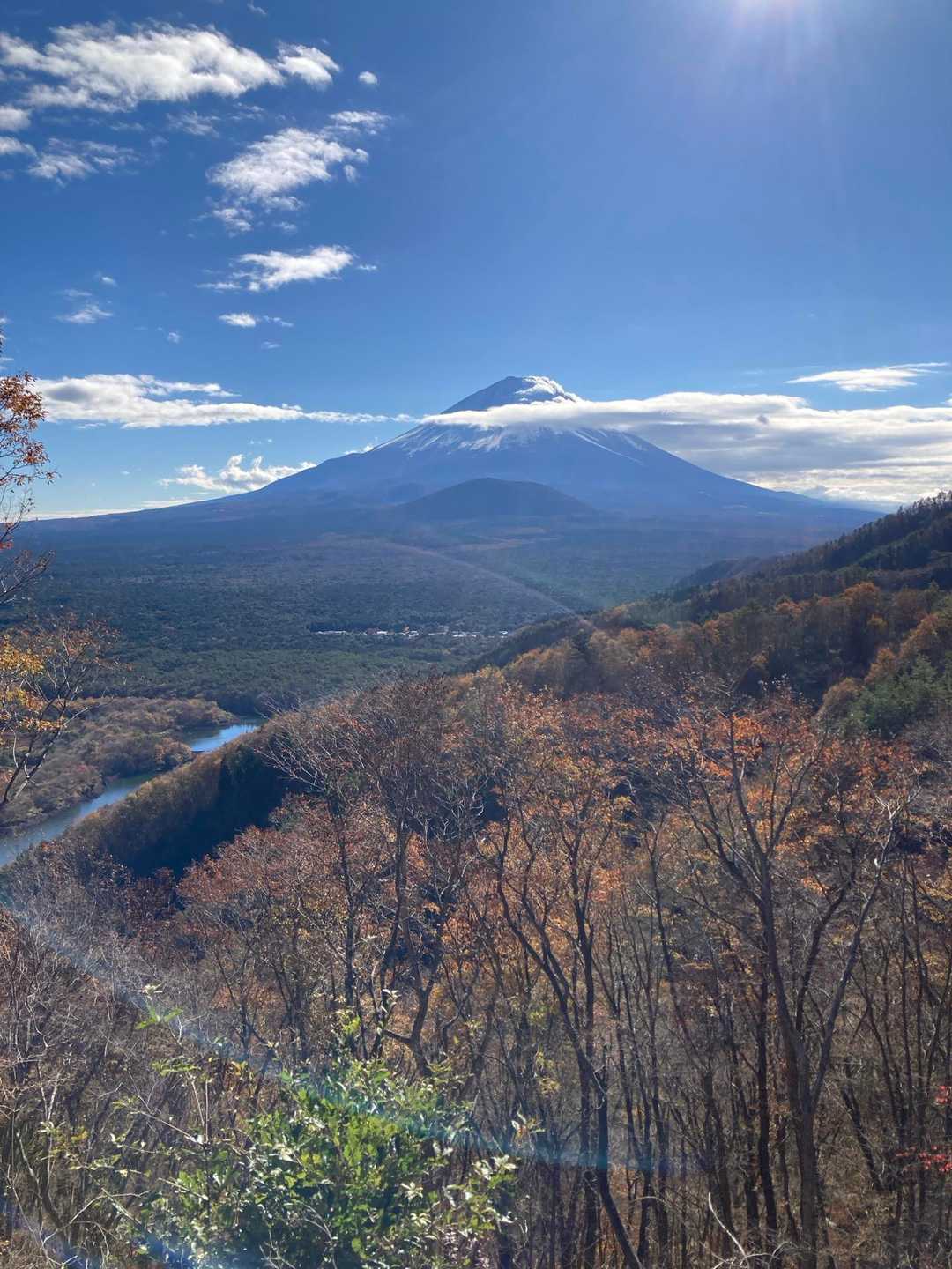 パノラマ台下バス停-パノラマ台入口-根⼦峠-パノラマ台-精 周回コースの写真