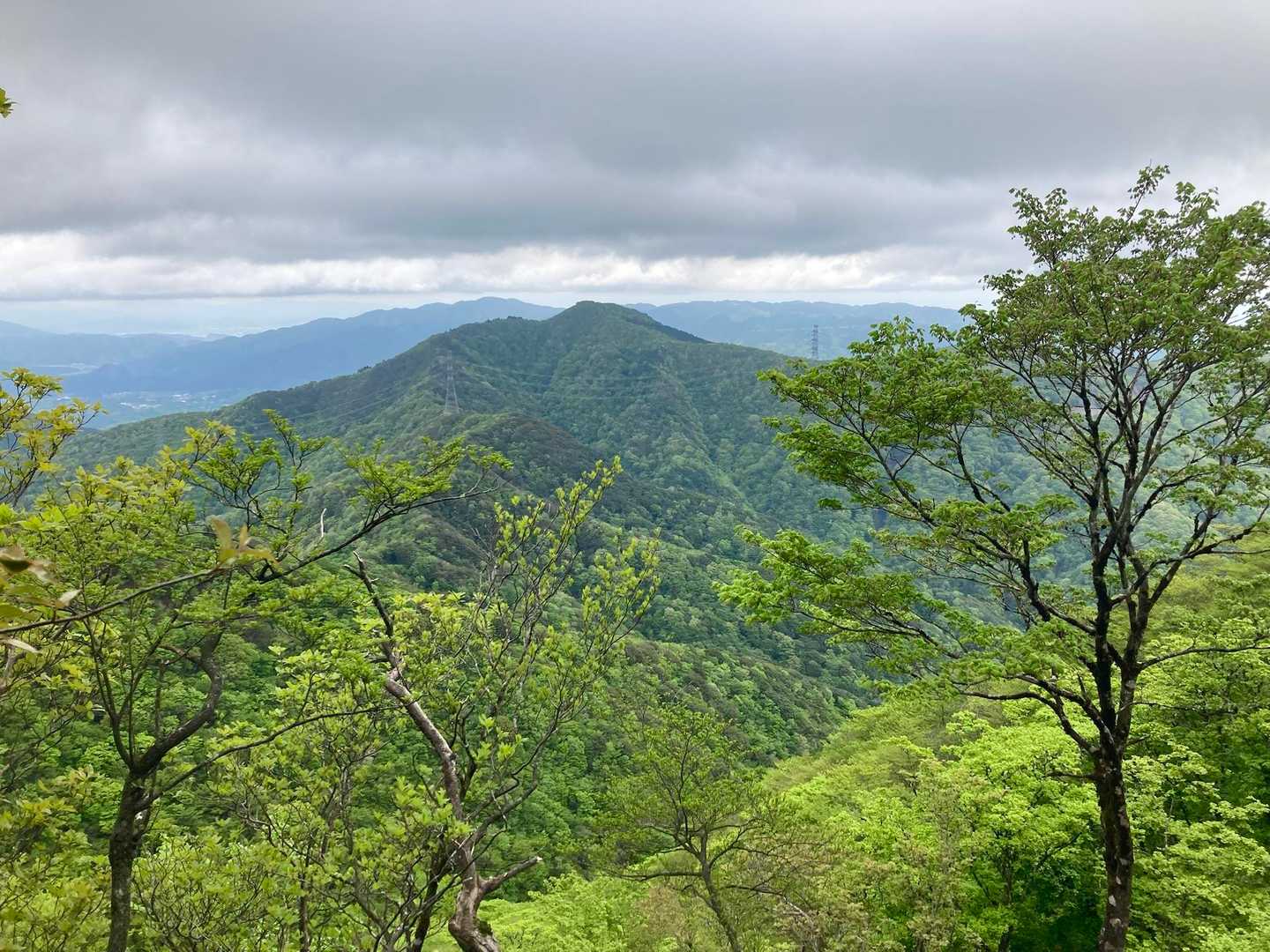 地図をよく見ながら、滋賀県/三重県/岐阜県の3県境の地点に行きました。特に案内はありません。作ればいいのに。
なので、ここから烏帽子岳を撮影しました。