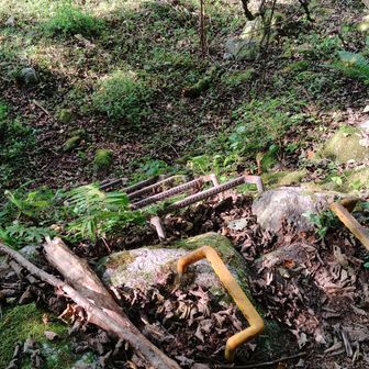 沢への降り口はあるのだけど、ここはダメかな