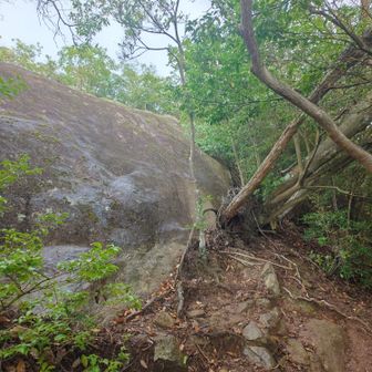 東天狗岳の登りですが、流石にこの大岩は登れません。手掛かりがない。右方向に迂回路。
