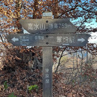 超久しぶりの高水山