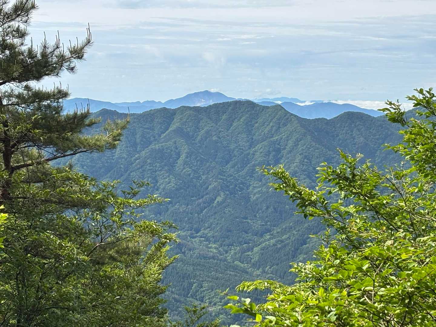 数少ない展望箇所からの眺め
遠方に箱根山（神山）が見えている