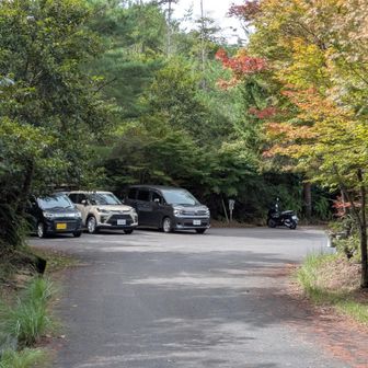 車が増えてる🚗