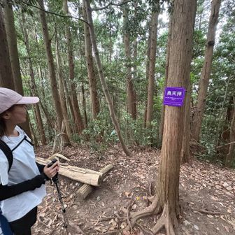 あっという間に登頂！