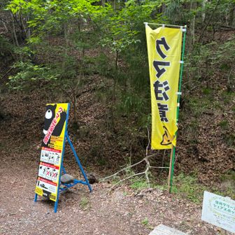 クマ🐻注意