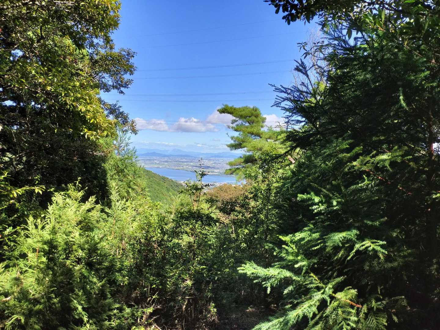 牛尾山ピーク近くからは伊吹山が見えます👀