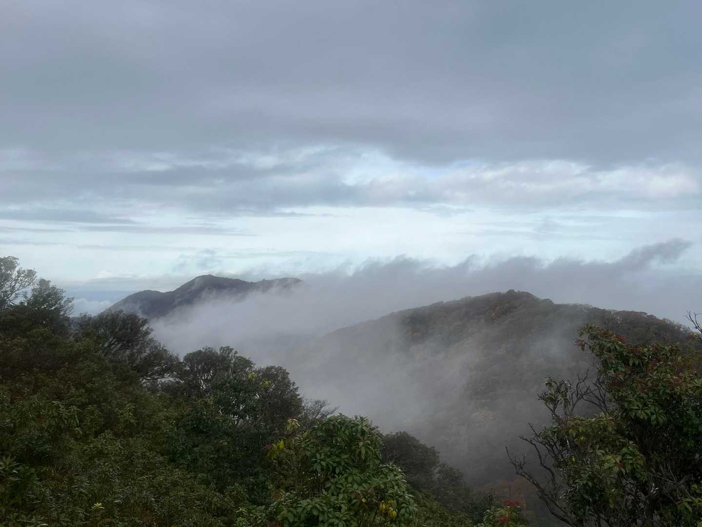 雨上がりの景色は幻想的😌