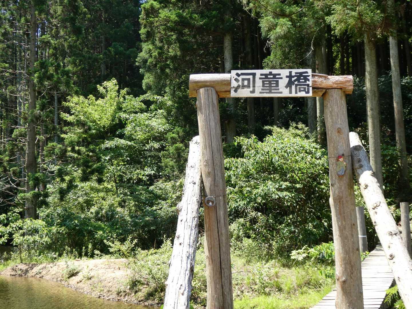 あらら、
『河童橋』