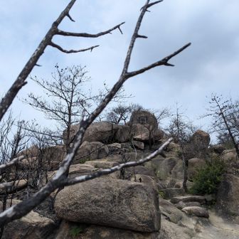 三頂山
頂上直下