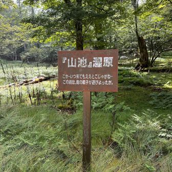 休み休み