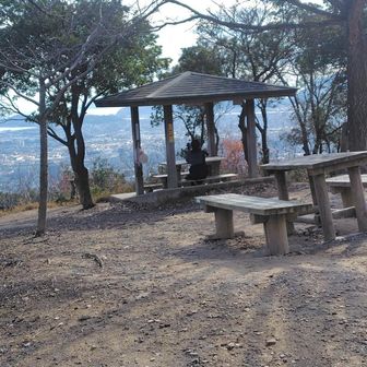 お兄さんも息を潜めて🤳🐦️