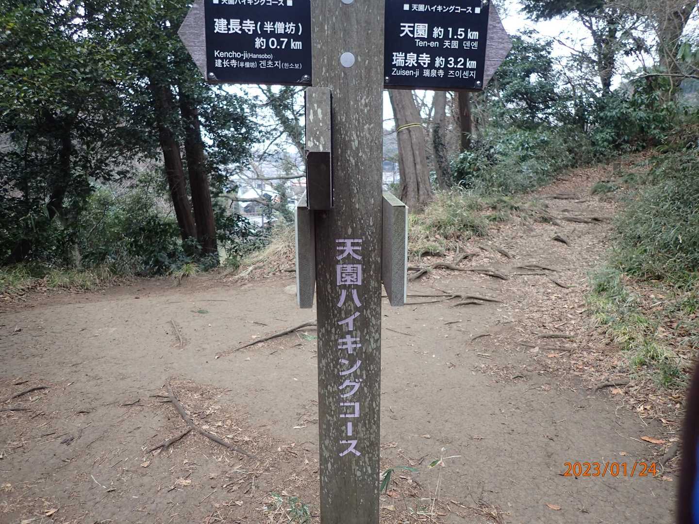 この辺で小雨に心が折れ、下山。