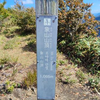 象山 山頂👍

時間無いので直ぐにバイバイ👋