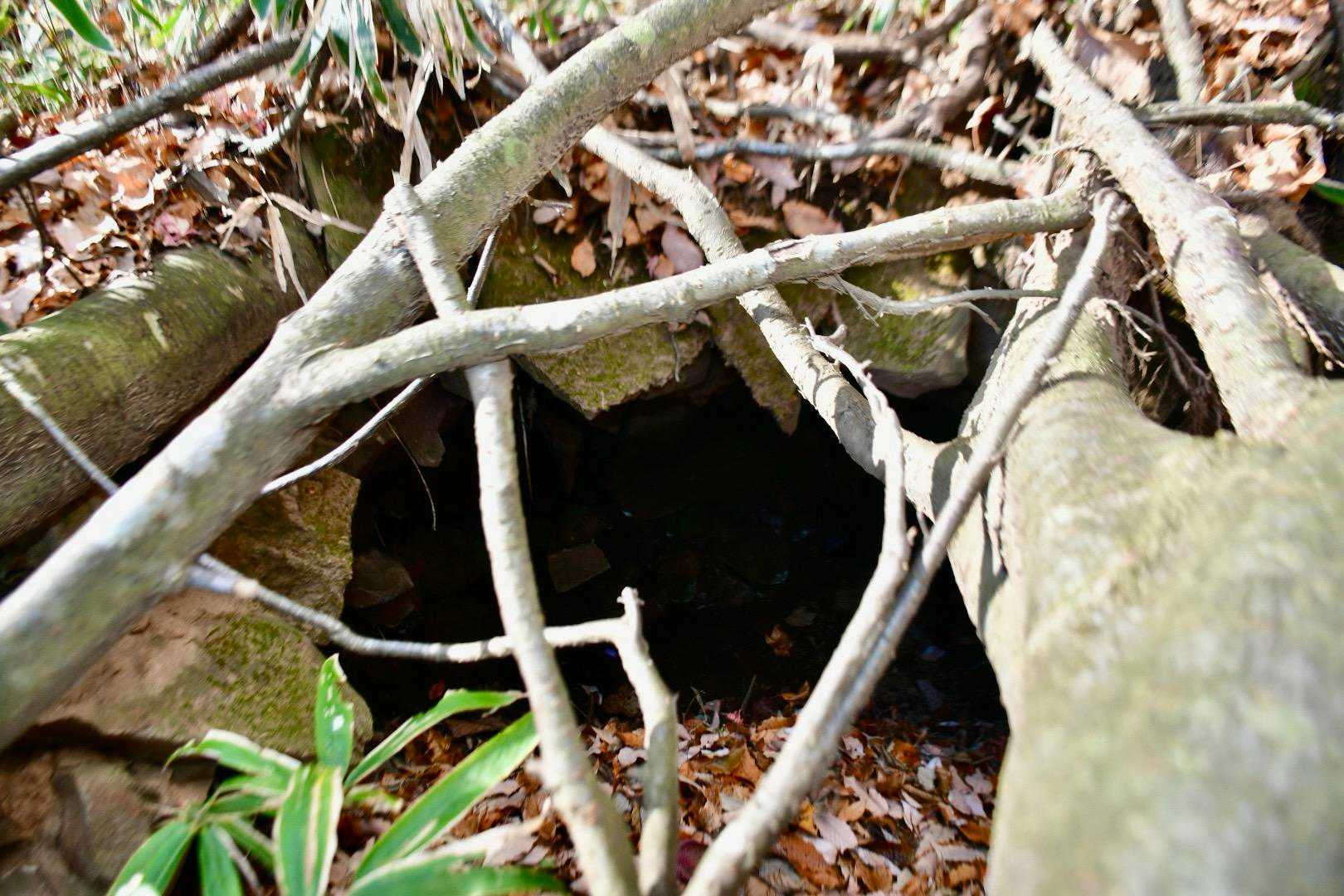王城山溶岩は爆発状節理で手頃な大きさに割れます
炭焼き窯の石積みに使われていました😆

むかしむかし

弓矢で撃ちあうイクサが始まっただ
丸岩が放つ矢を王城山は焙烙岩で受け止めたんだと


