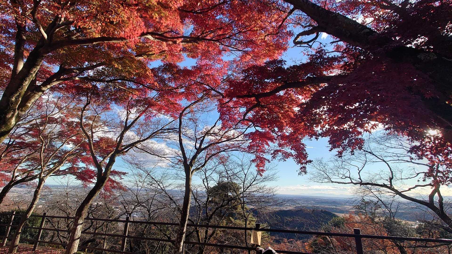 大中寺-太平山-ぐみの木峠-晃石山-晃石神社-青入山-桜峠 周回コースの写真