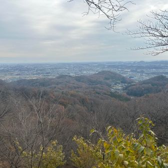 山頂から見える街並み