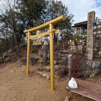 野一色権現山⛩️へ戻って📷️
やっぱり金は魅力されます✨