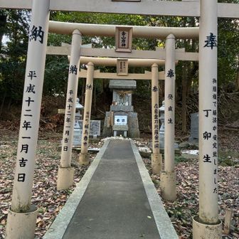 金毘羅神社の上宮。
今日はお参りする人はだれもいない。