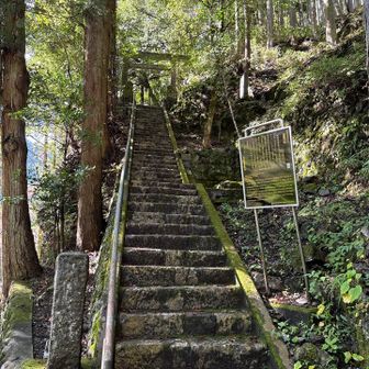 白鬚神社⛩️