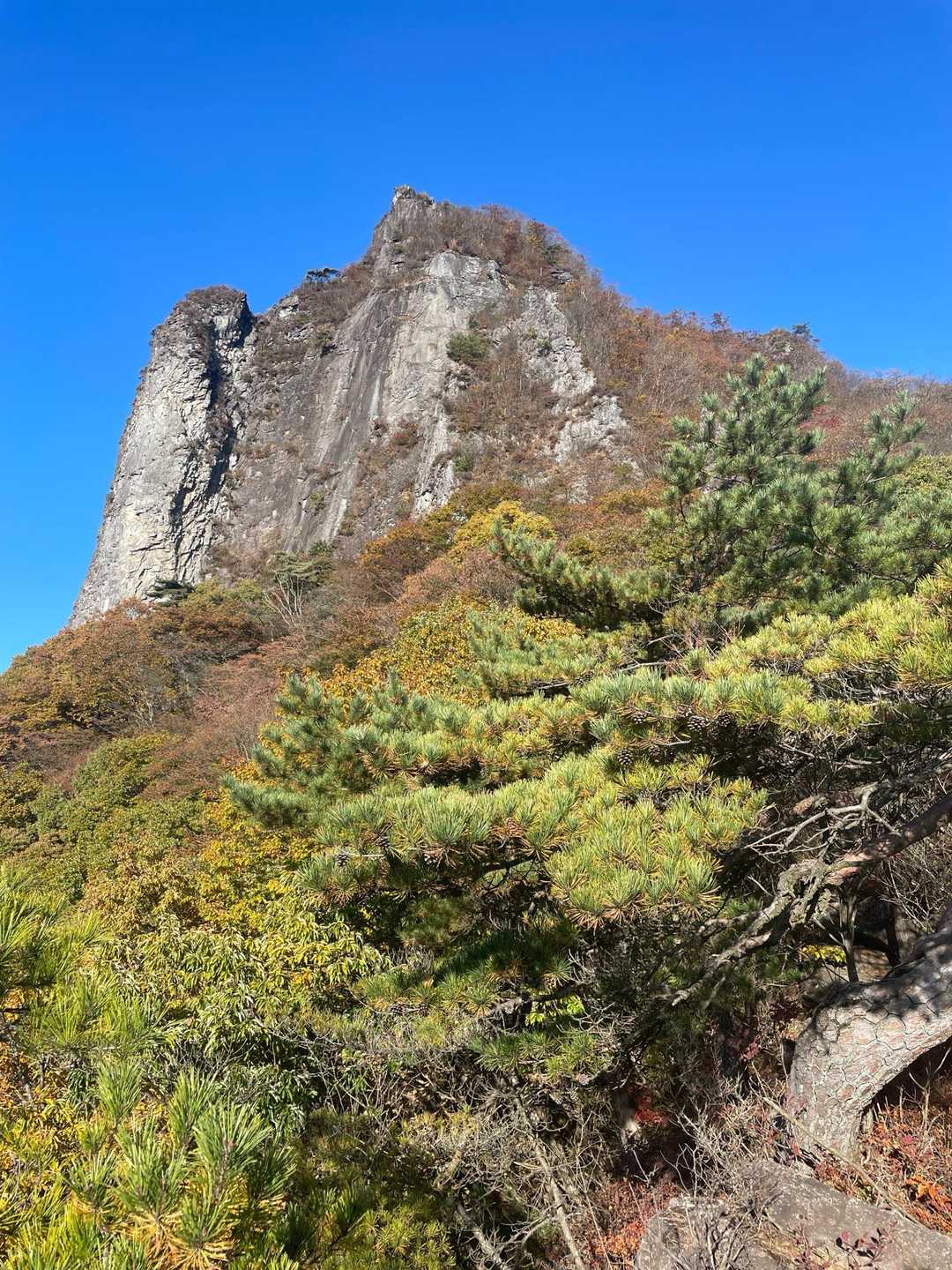 獅子岩（大黒岩）がカッコいい。