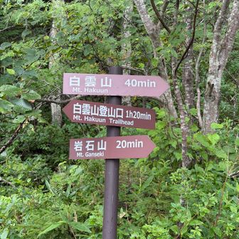 分岐