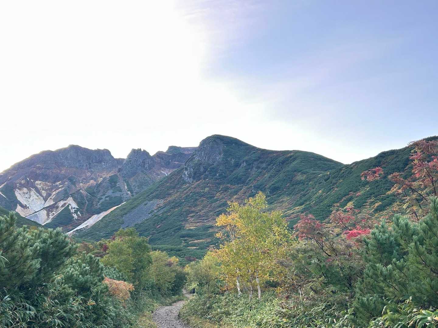 紅葉🍁だいぶ進んで来ました。