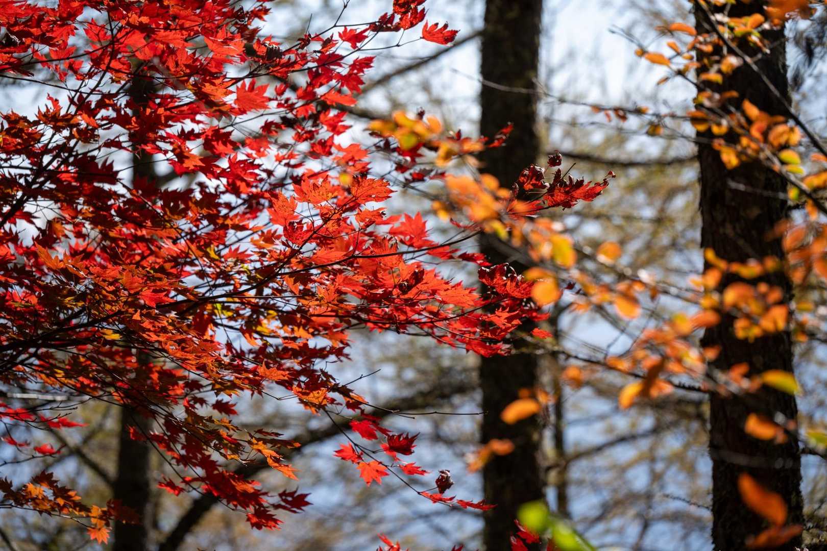 写真撮ってて進まない