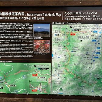 伊豆山稜線歩道とはホント相性悪くてね・・・。