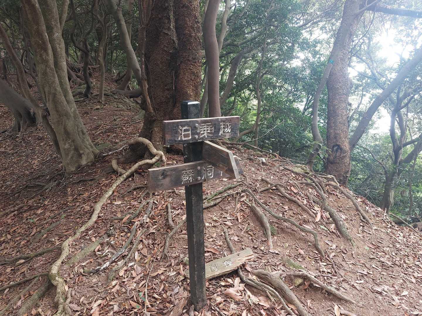 ここから細いトラバース道となります😅