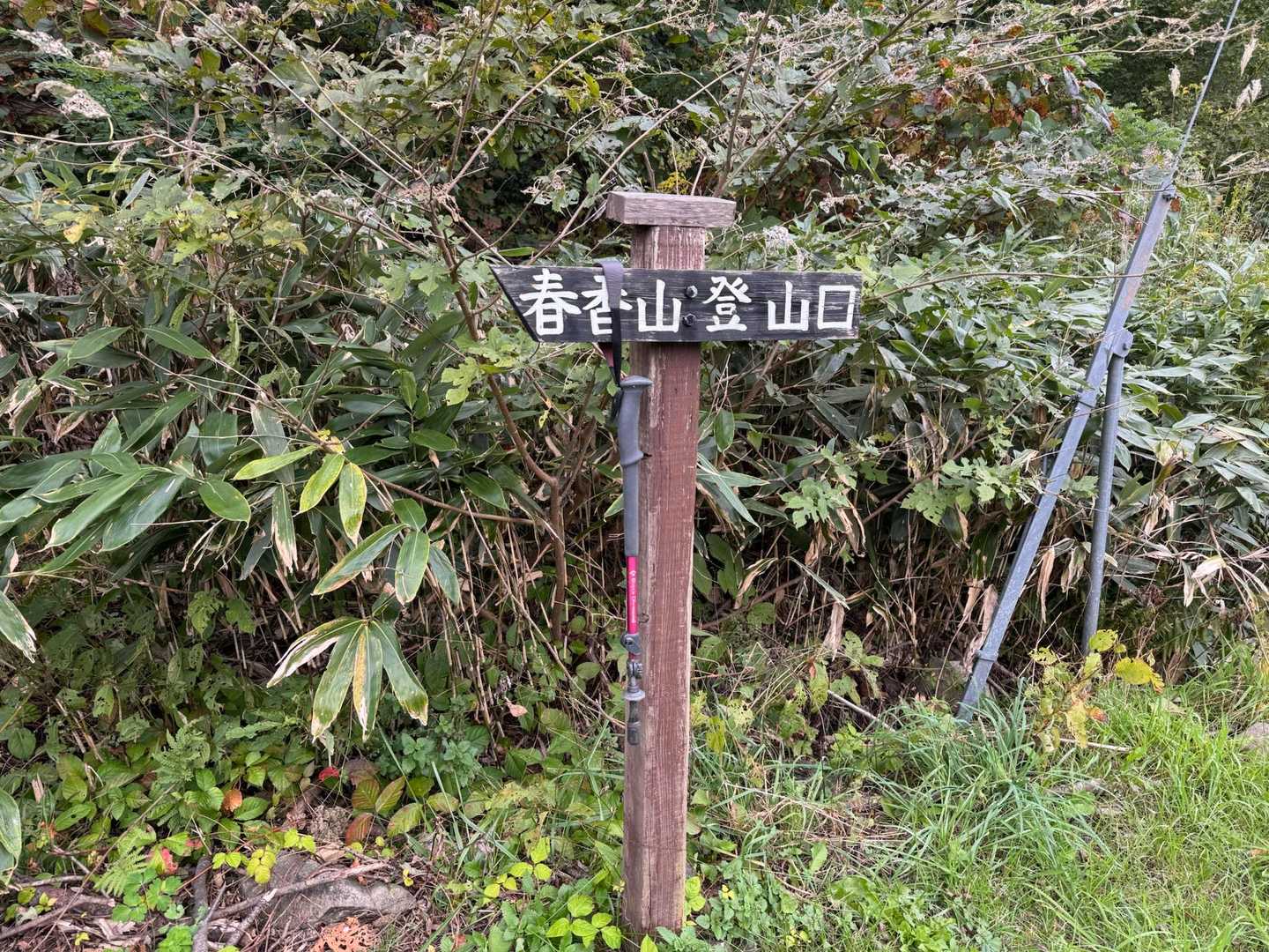ポールありましたよ〜☺️、気がついてね👌
