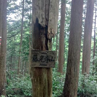 ここからが彷徨の始まり
