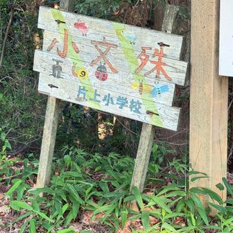 ここまで登ると安心する。