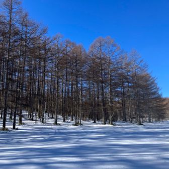 この辺りの雪ふかふかのところでわかん練習