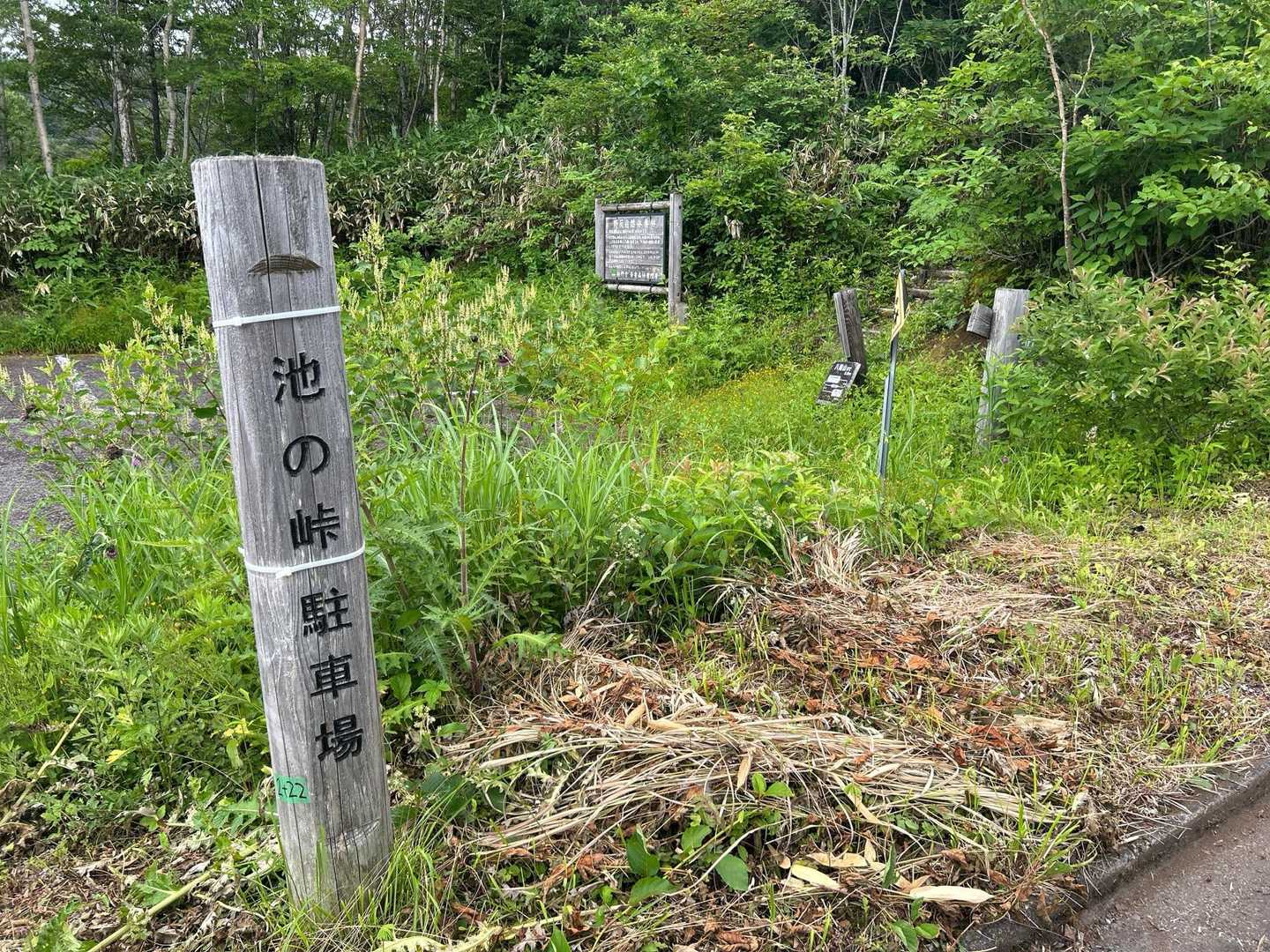 池の峠駐車場へ到着🅿️ 奥が登山口🥾
ここまでの道は整備されてて苦もなく来れます👌🏻