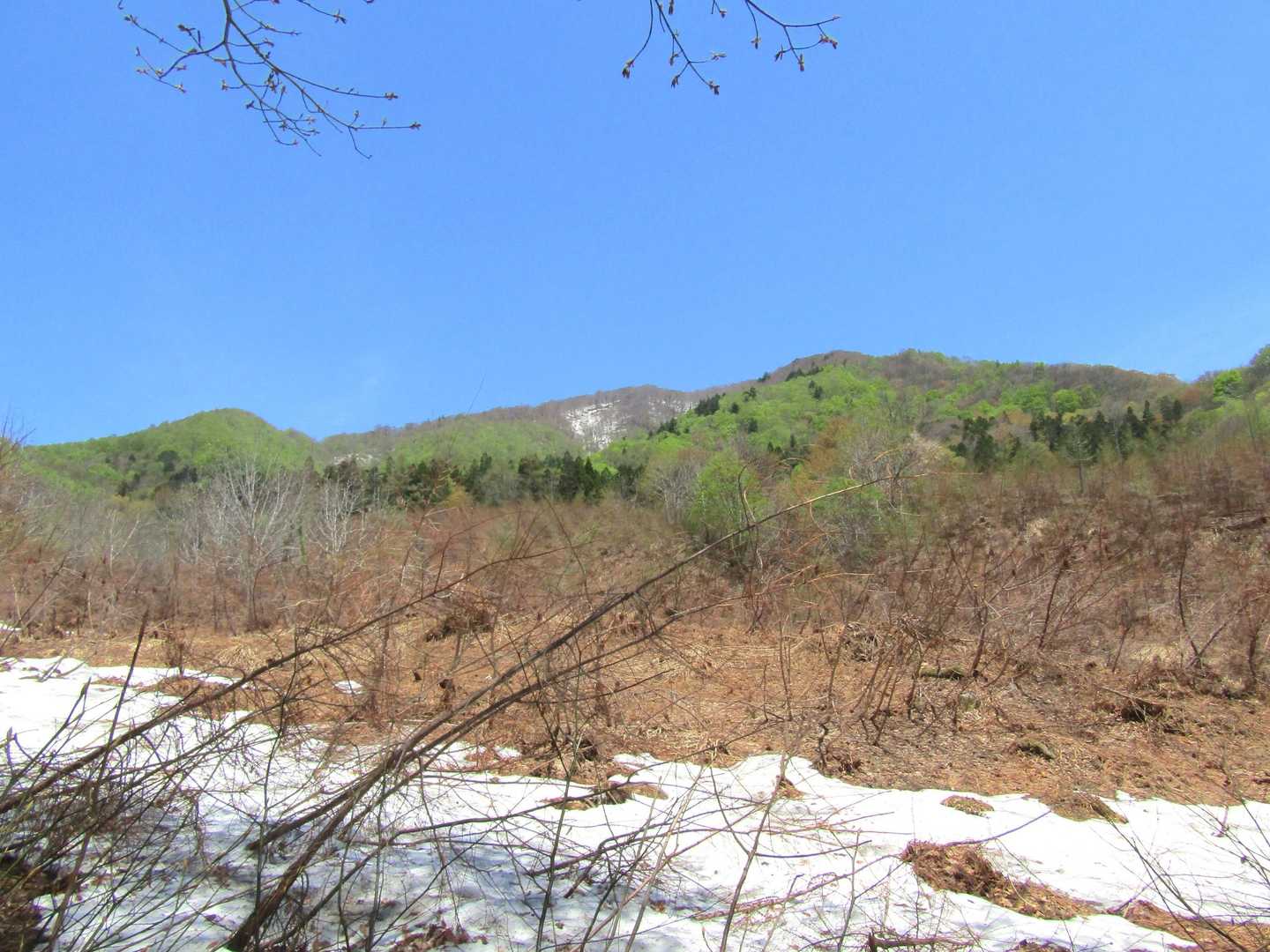 開墾跡まで来ました💦
下山時はだいぶ路が明瞭になってました