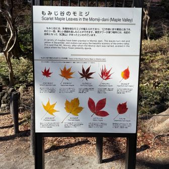 ここのピークが中々踏めない