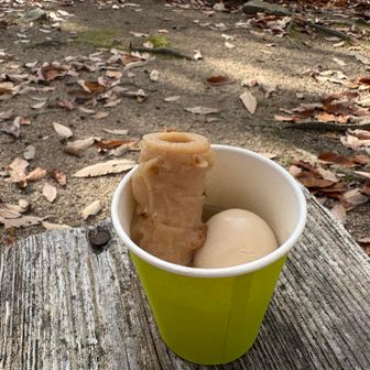 好きなタネは早いもの勝ち╭( ･ㅂ･)و ̑̑