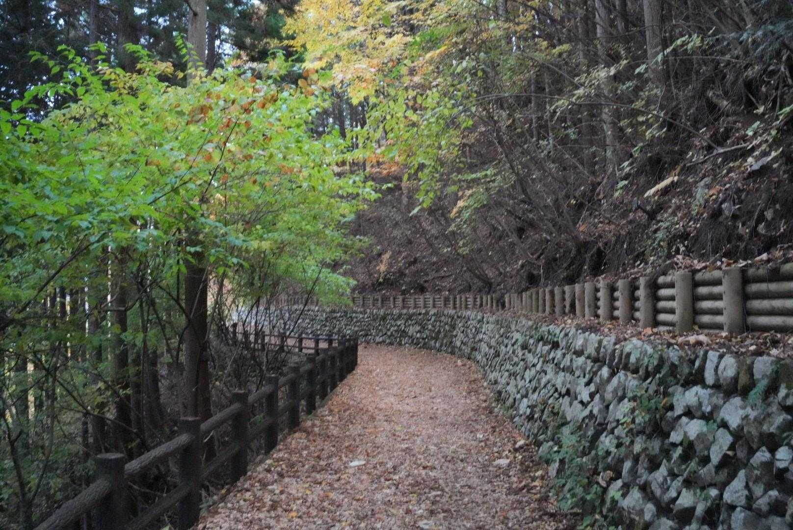都民の森-鞘口峠-三頭山-ムシカリ峠-三頭大滝 周回コースの写真