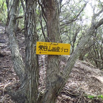登山道に戻ります