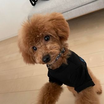 そばが好きです