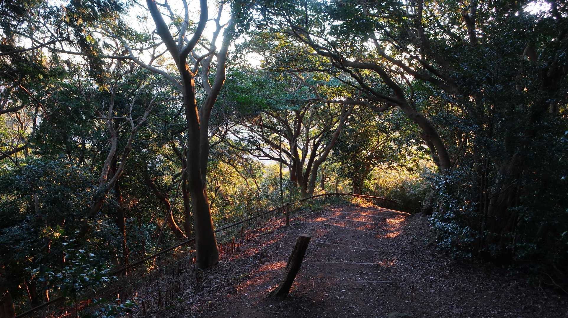 可也山往復 | 地元の遠足の定番。糸島富士の別名を持つ頂から眺める青色の写真