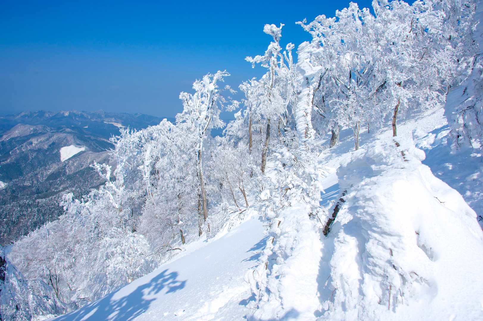 高見山の写真