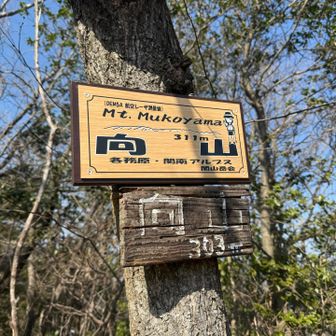 そんなこんなで　向山| ᐕ)っ🚩