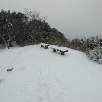 北も南も真っ白