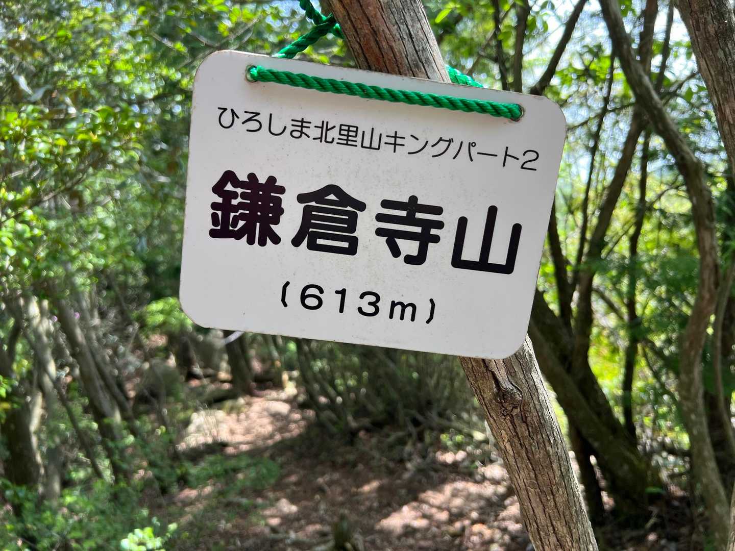 そこから少し登って鎌倉寺山。名前の通り、寺跡らしき削平地が周辺に見受けられます。
