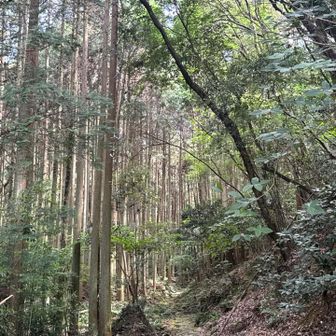 あっ…ちょっと涼しい…