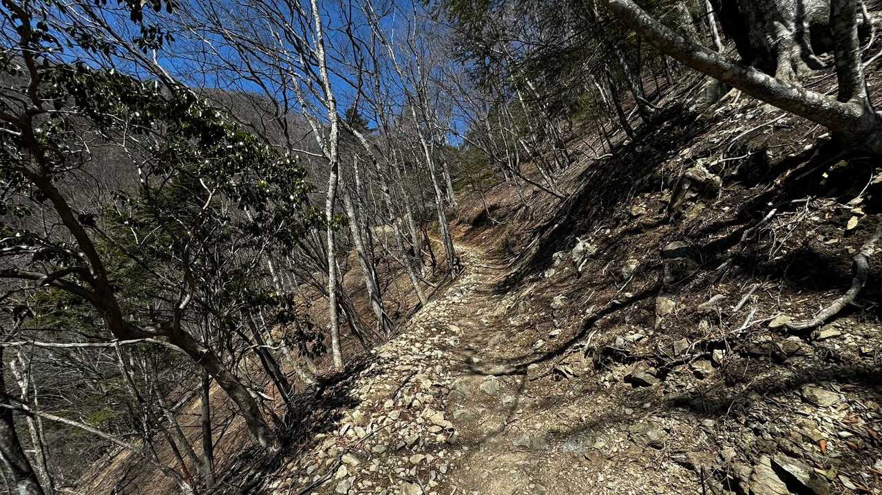 奥多摩、石尾根テン泊縦走（鴨沢〜七ツ石山〜鷹ノ巣山〜六ツ石山〜奥多摩駅） の写真 16