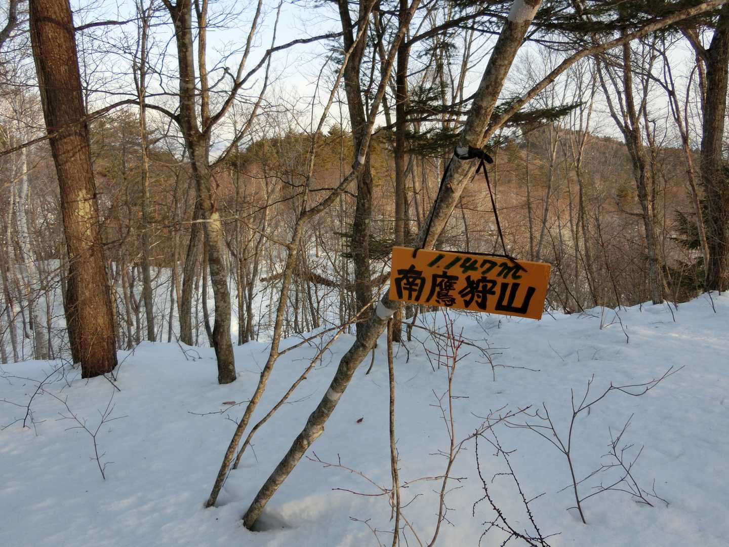 南鷹狩山の山頂です。
いつの間にか、山頂看板がつけられていました。
