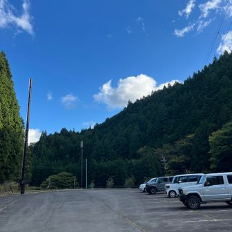 駐車場は広くて無料🆓