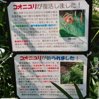 カスの即落ち2コマ。折ったやつの脚も折れろ。